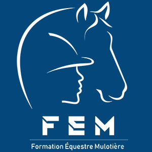 Fem